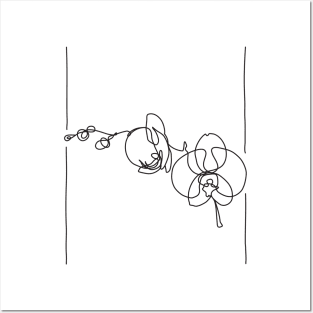 Orchid Flowers Line Drawing - Black Posters and Art